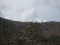 nte Cagliato-20110220 072